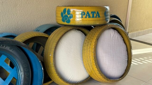 Camas produzidas com pneus reciclados passam a integrar as ações do PATA Camas produzidas com pneus reciclados passam a integrar as ações do PATA