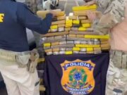 Perseguição na BR-060 termina com motorista preso e mais 440 kg de drogas apreendidos Perseguição na BR-060 termina com motorista preso e mais 440 kg de drogas apreendidos