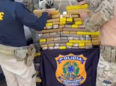 Perseguição na BR-060 termina com motorista preso e mais 440 kg de drogas apreendidos