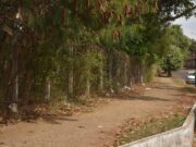 Parque Colina Azul começa a ganhar melhorias a partir da próxima segunda-feira (31)