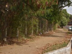 Parque Colina Azul começa a ganhar melhorias a partir da próxima segunda-feira (31)
