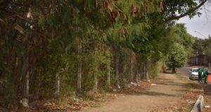 Prefeitura de Aparecida inicia revitalização do Parque Colina Azul na próxima segunda (31) Parque Colina Azul começa a ganhar melhorias a partir da próxima segunda-feira (31)