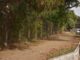 Prefeitura de Aparecida inicia revitalização do Parque Colina Azul na próxima segunda (31) Parque Colina Azul começa a ganhar melhorias a partir da próxima segunda-feira (31)