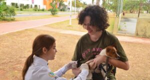 Dia D terá 61 pontos de vacinação contra a raiva em Aparecida