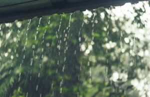 Novo ciclone extratropical muda o tempo e aumenta a chuva no Brasil; confira a previsão Ciclone extratropical influencia o tempo no início de setembro
