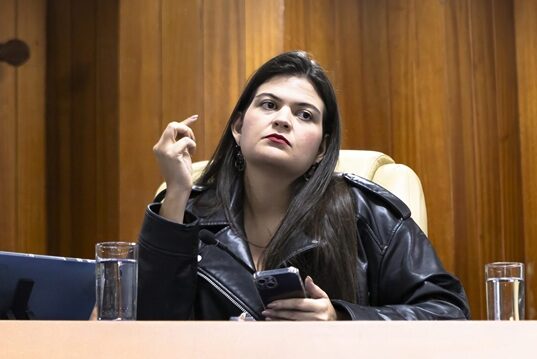 Aava Santiago concentrou cerca de 77% da votação do PSB para deputado federal