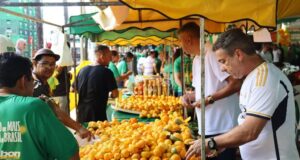 Festa do Pequi em Goiânia terá almoço gratuito, música e desafio gastronômico Evento celebra a tradição goiana e o sabor de um dos frutos mais emblemáticos do Cerrado