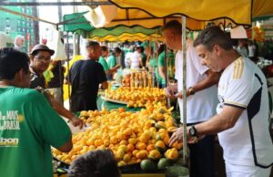 Festa do Pequi em Goiânia terá almoço gratuito, música e desafio gastronômico Evento celebra a tradição goiana e o sabor de um dos frutos mais emblemáticos do Cerrado