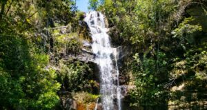 Turismo goiano registra maior avanço mensal desde abril de 2025