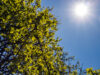 Calor e chuva em Goiás: confira a previsão do tempo para quarta (7) e quinta (8) em todo o Brasil O tempo muda entre as regiões do país nesta quarta (7) e quinta (8)