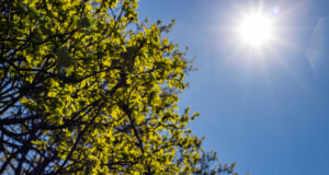 Calor e chuva em Goiás: confira a previsão do tempo para quarta (7) e quinta (8) em todo o Brasil O tempo muda entre as regiões do país nesta quarta (7) e quinta (8)